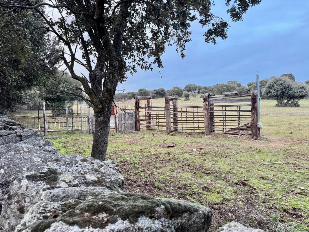 Land for sale in Colmenarejo, Madrid photo 4