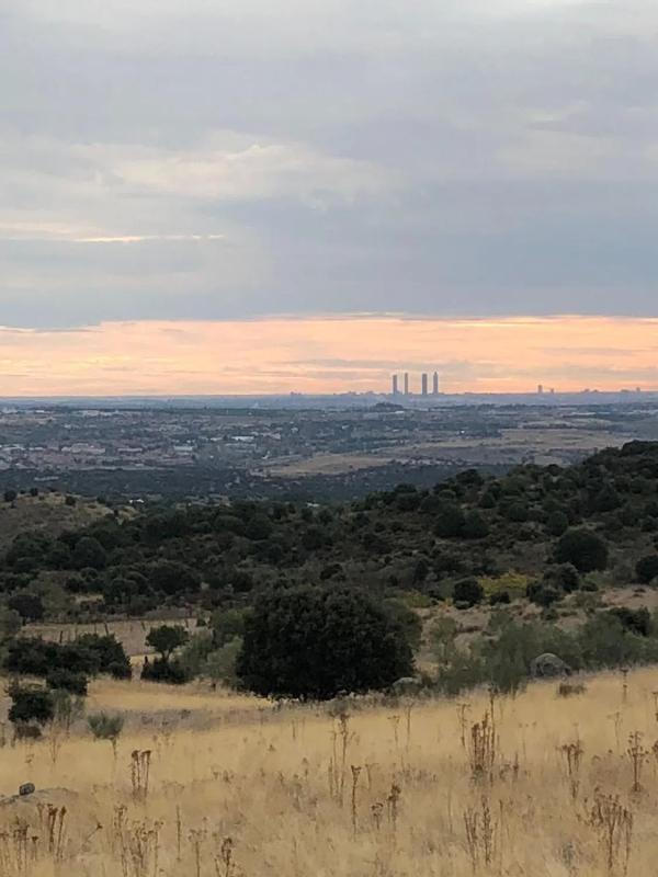 Land for sale in Colmenarejo, Madrid photo 4