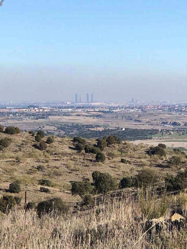 Land for sale in Colmenarejo, Madrid photo 2