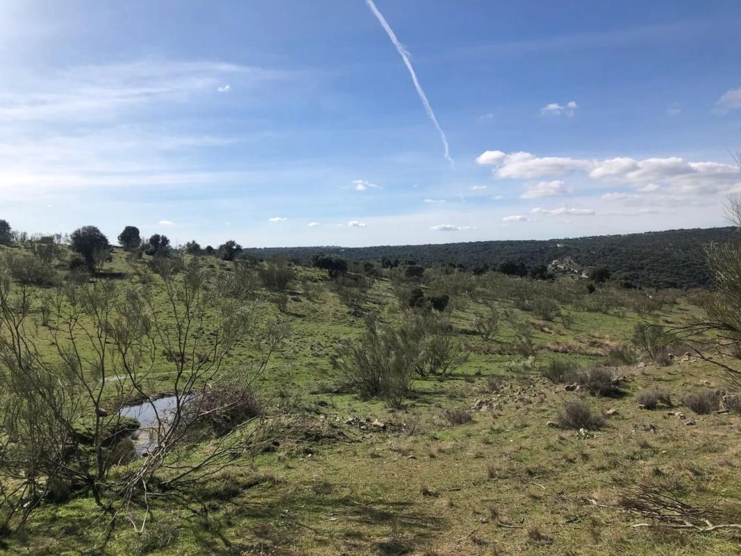 Land for sale in Colmenarejo, Madrid photo 3