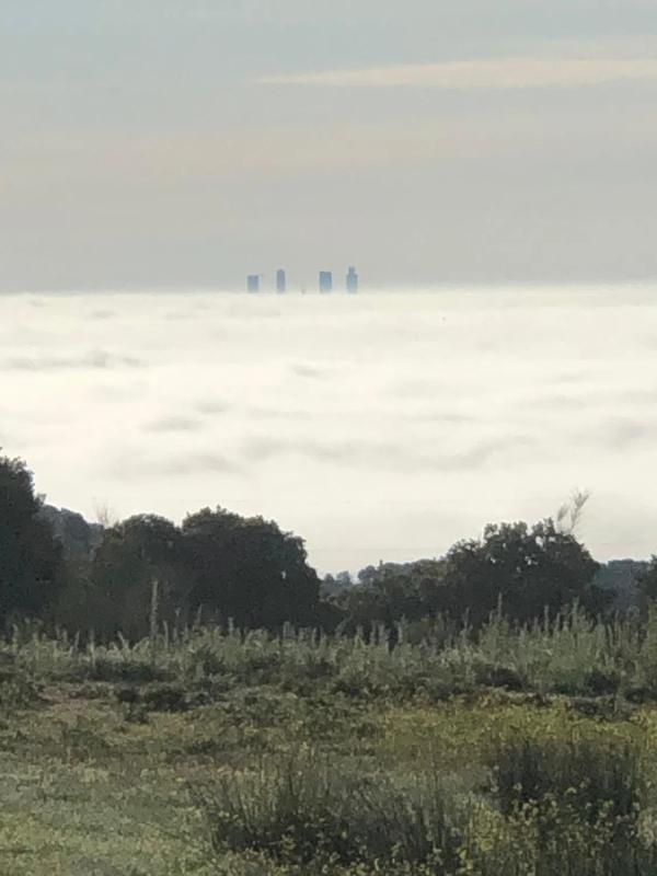 Land for sale in Colmenarejo, Madrid photo 4