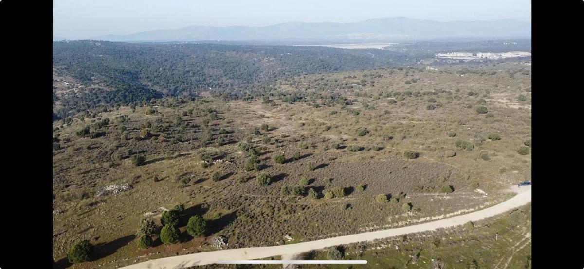 Land for sale in Colmenarejo, Madrid photo 3