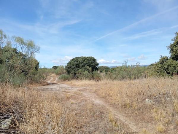 Terreno en Ferrocarril los Quinchos photo 1