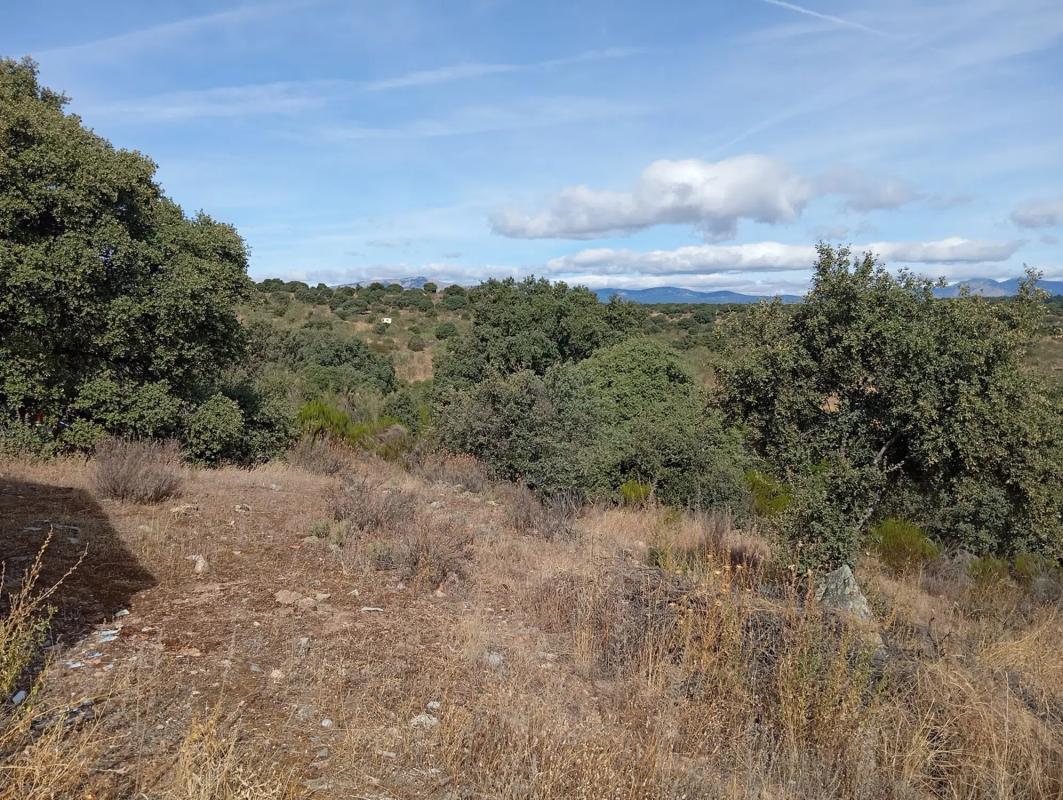 Land for sale in Colmenarejo, Madrid photo 2