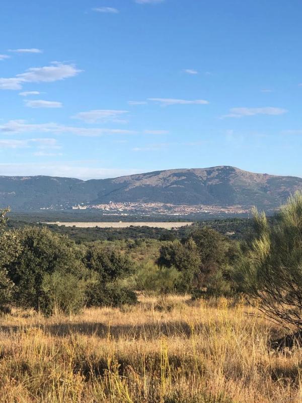 Land for sale in Colmenarejo, Madrid photo 5