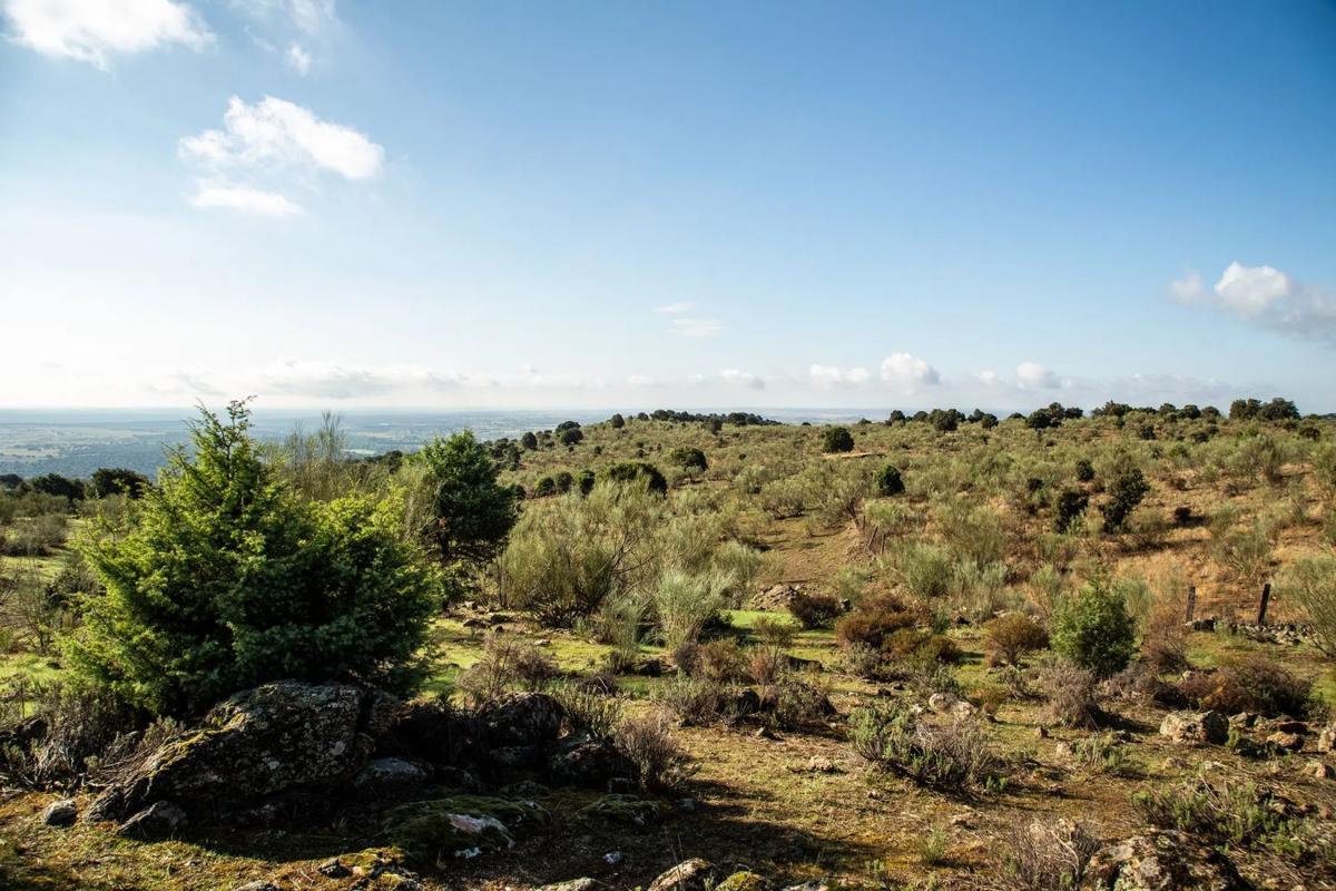 Terreno en venta en Colmenarejo, Madrid photo 3