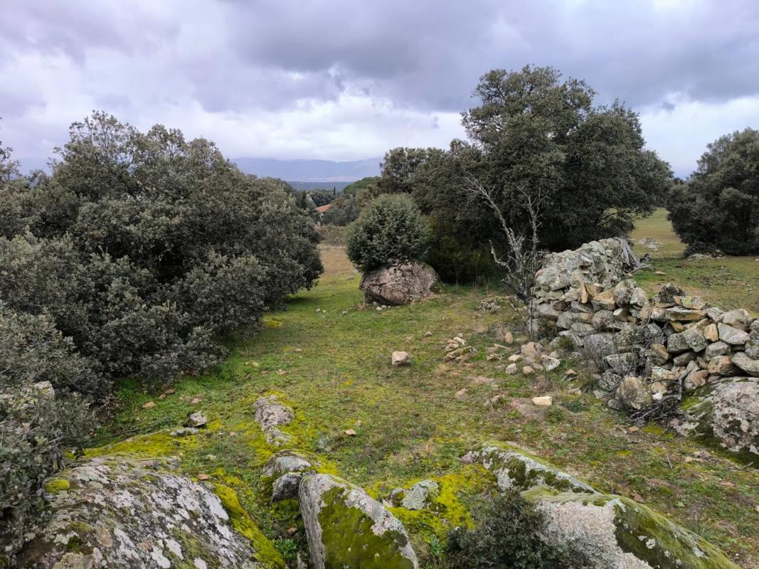Land for sale in Colmenarejo, Madrid photo 3