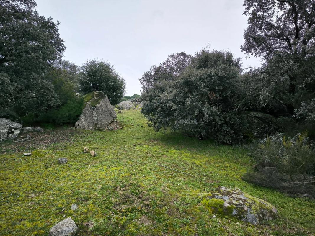 Land for sale in Colmenarejo, Madrid photo 4