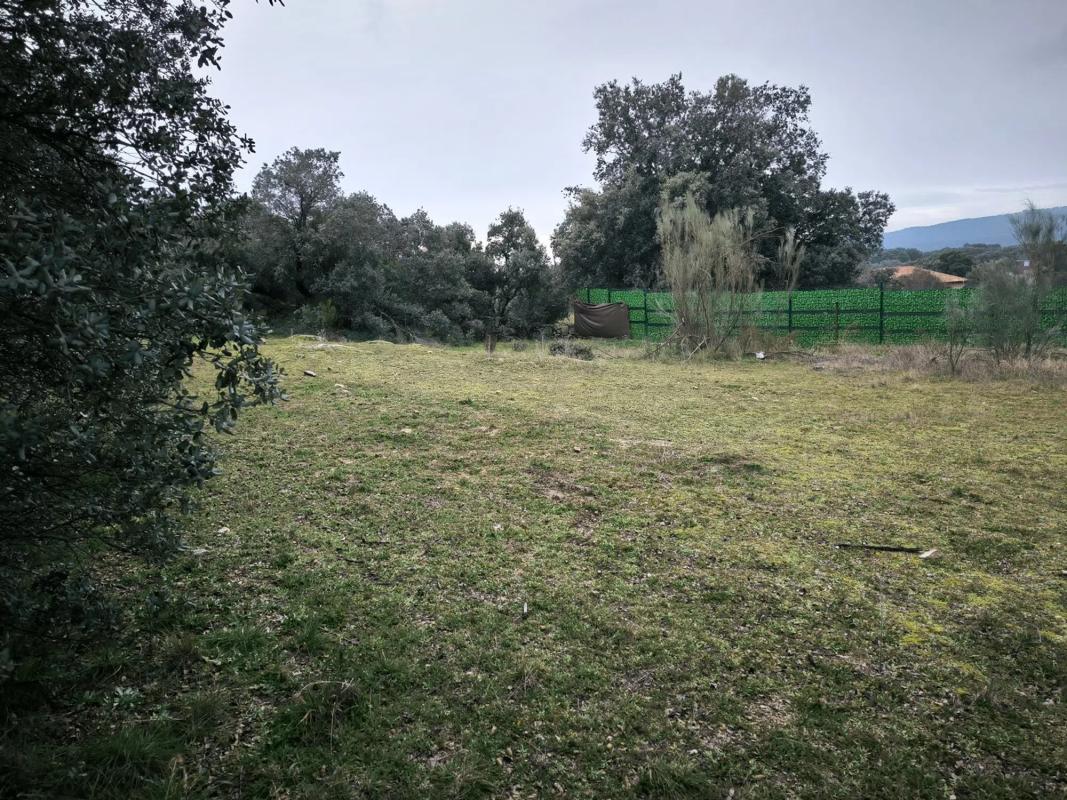Land for sale in Colmenarejo, Madrid photo 5