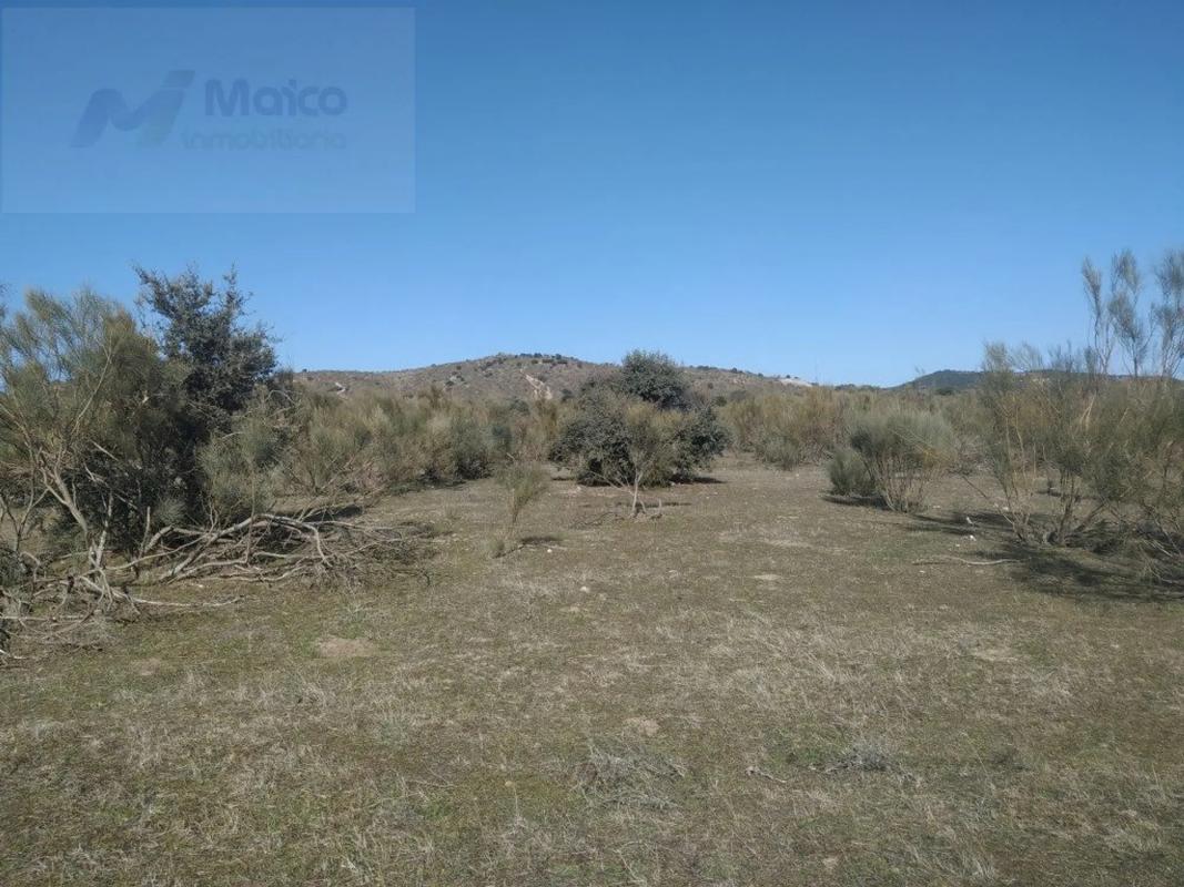 Terreno en venta en Colmenarejo, Madrid photo 5