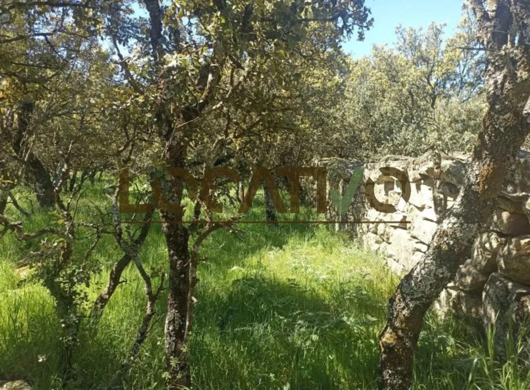 Участок земли на продажу в Эль-Эскориаль, Мадрид photo 3