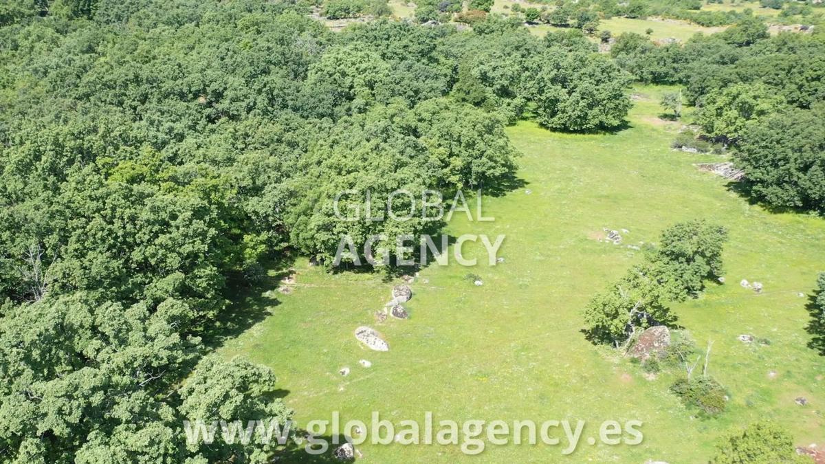 Terreno en venta en El Escorial, Madrid photo 3
