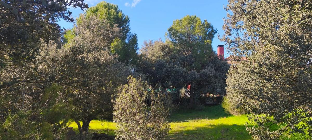 Land for sale in El Escorial, Madrid photo 1