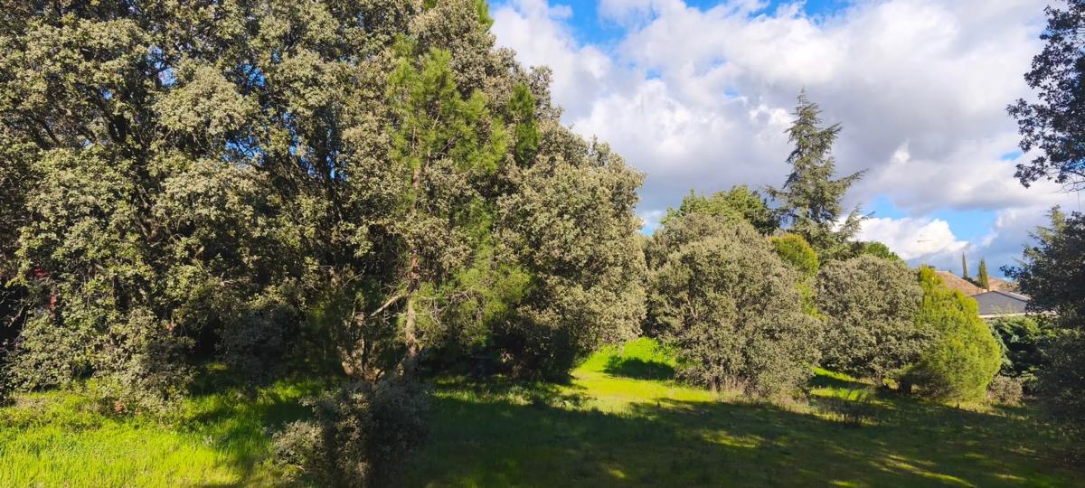 Land for sale in El Escorial, Madrid photo 2