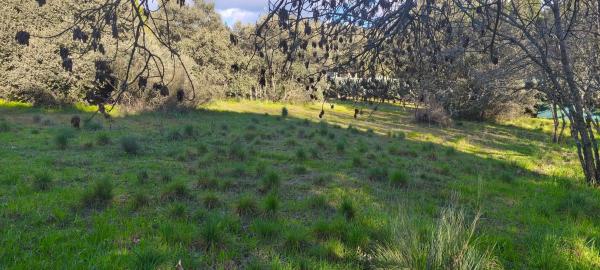 Terreno en calle Diez, 34 photo 4