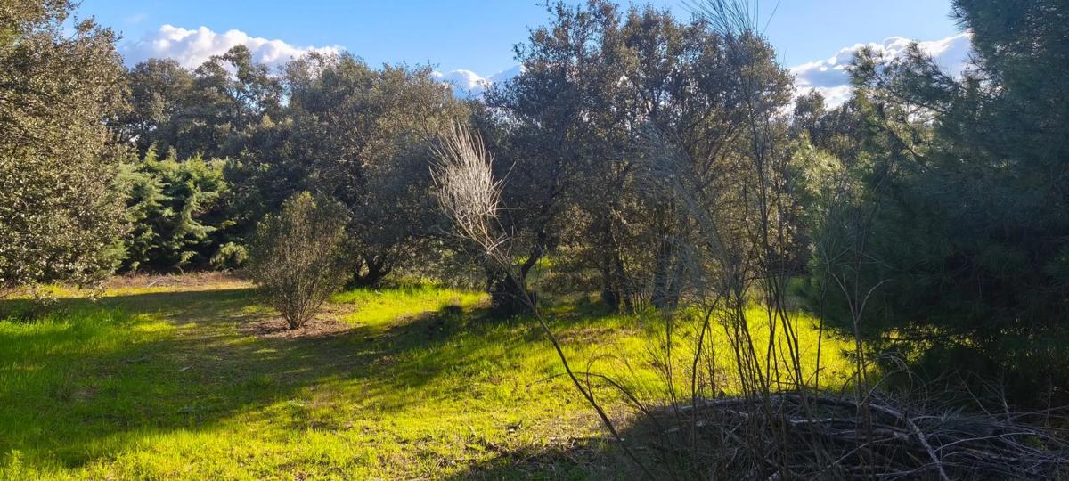 Land for sale in El Escorial, Madrid photo 5