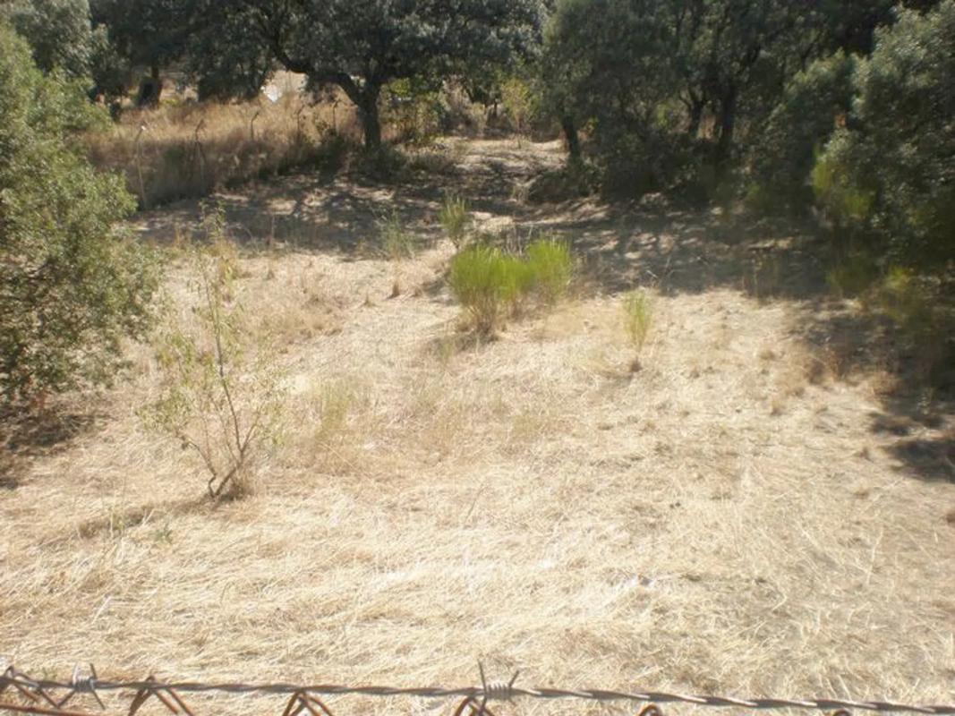 Terreno en venta en El Escorial, Madrid photo 5