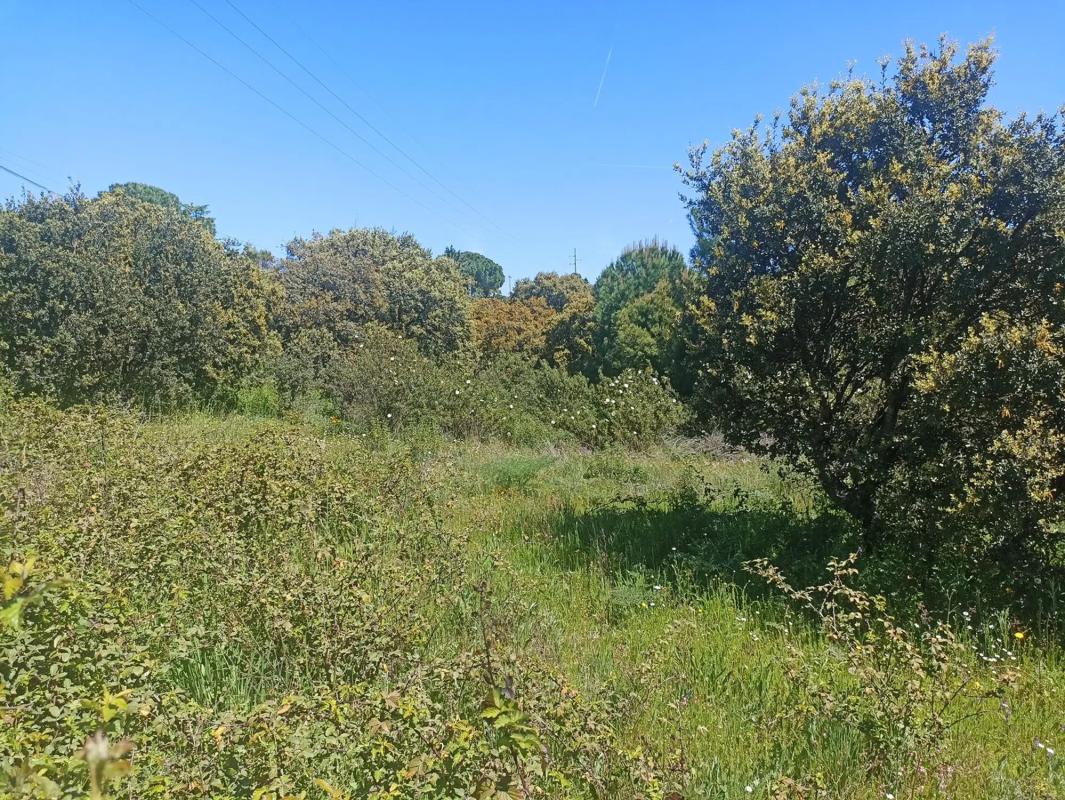 Участок земли на продажу в Эль-Эскориаль, Мадрид photo 5