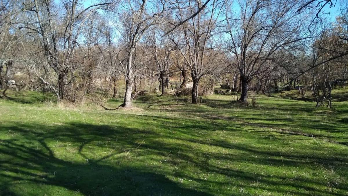 Land for sale in El Escorial, Madrid photo 1