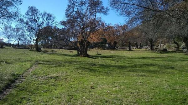 Terreno en prado del chicharron s/n photo 2