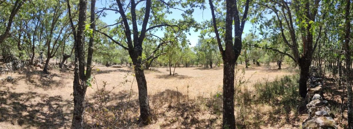 Land for sale in El Escorial, Madrid photo 3