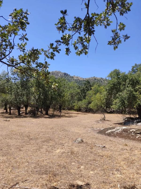 Land for sale in El Escorial, Madrid photo 4