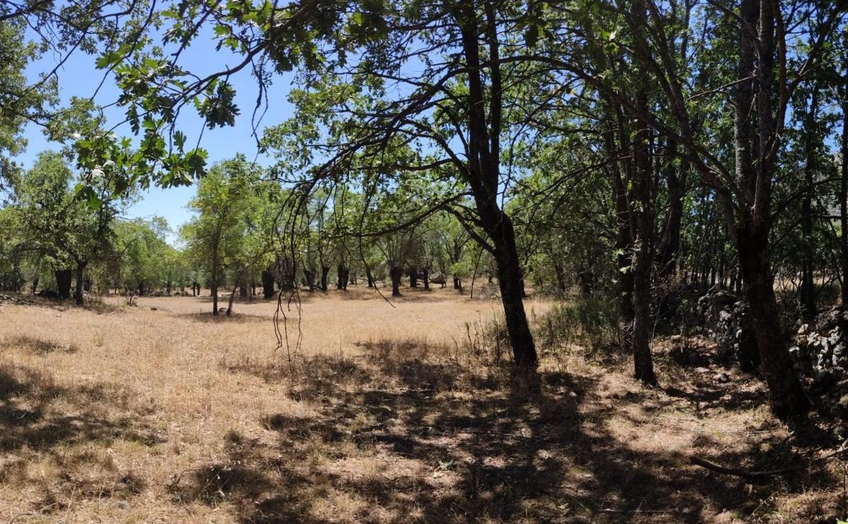 Land for sale in El Escorial, Madrid photo 5