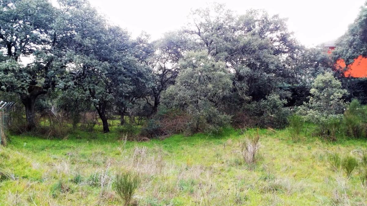 Land for sale in El Escorial, Madrid photo 3
