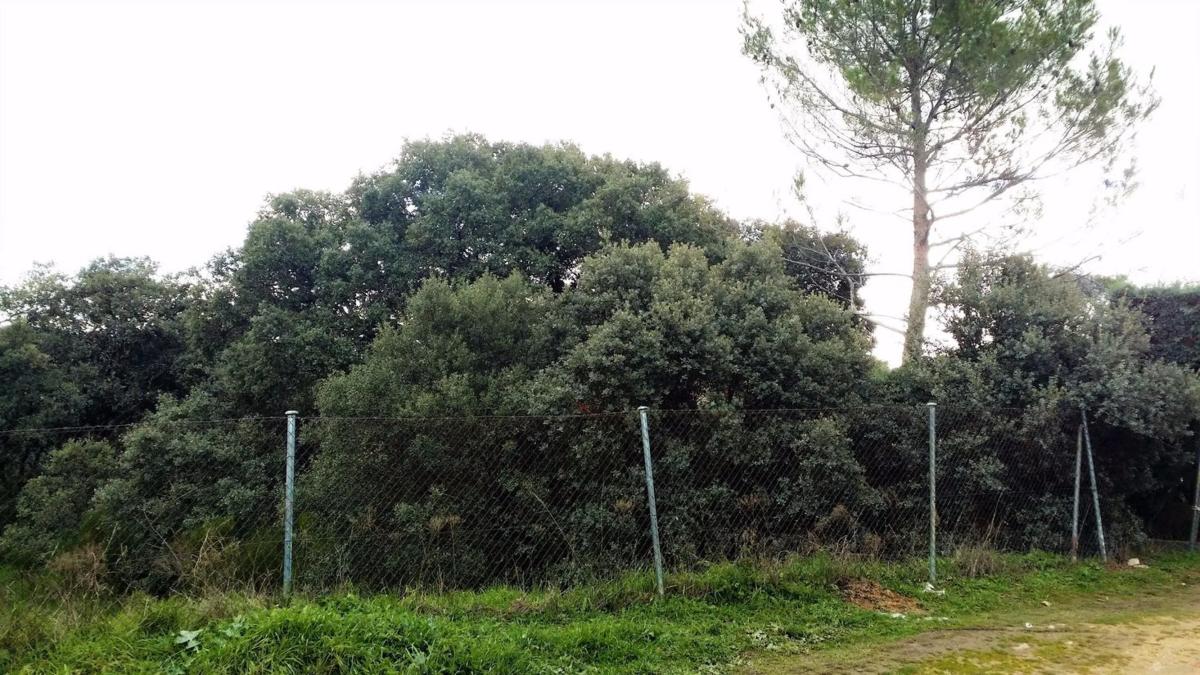 Land for sale in El Escorial, Madrid photo 4