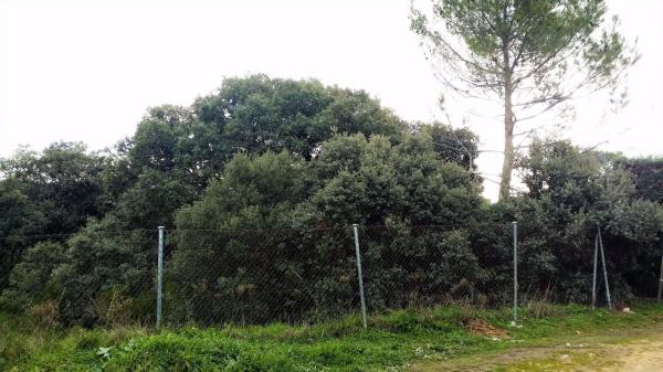 Terreno en avenida de los cierros, 12 photo 4