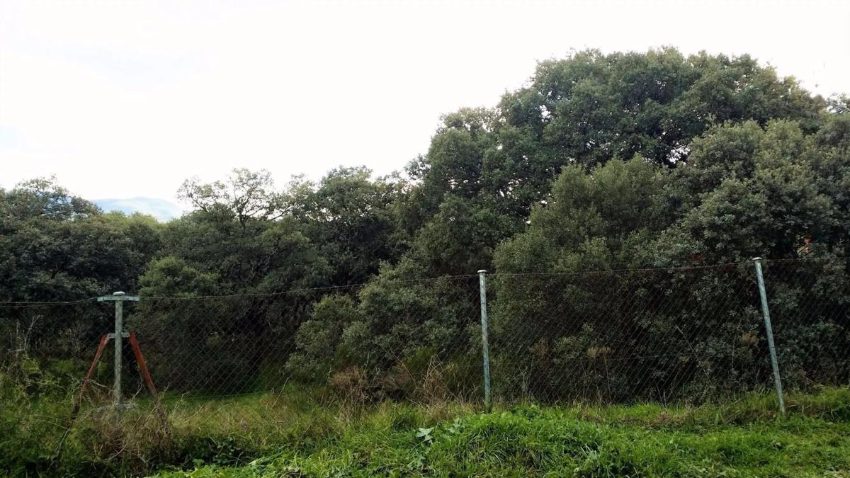 Land for sale in El Escorial, Madrid photo 5