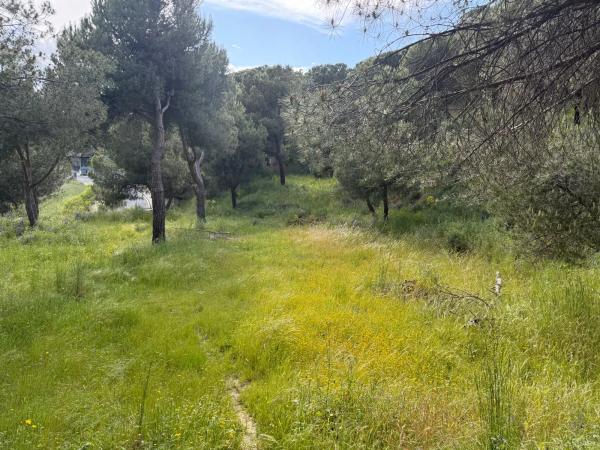 Terreno en calle de los Llanos photo 2