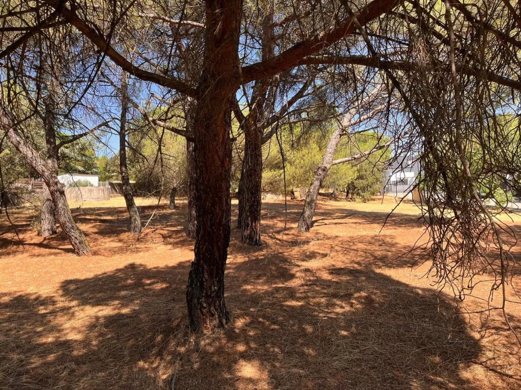 Terreno en venta en Galapagar, Madrid photo 5
