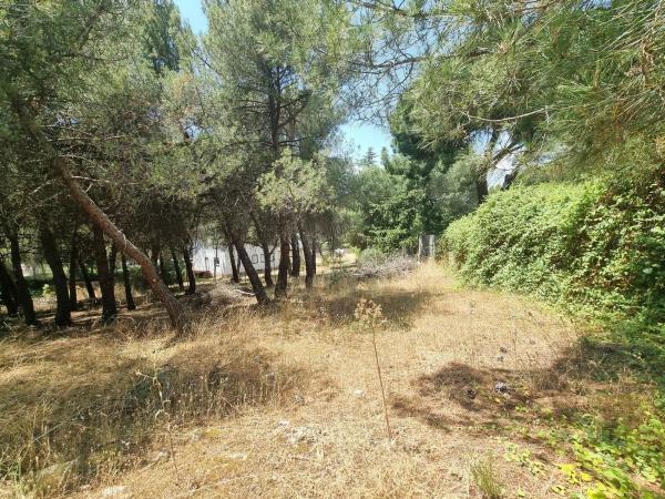 Terreno en Parquelagos - Puente Nuevo photo 1