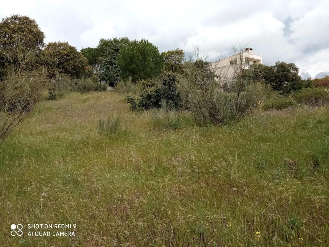 Terreno en venta en Galapagar, Madrid photo 5