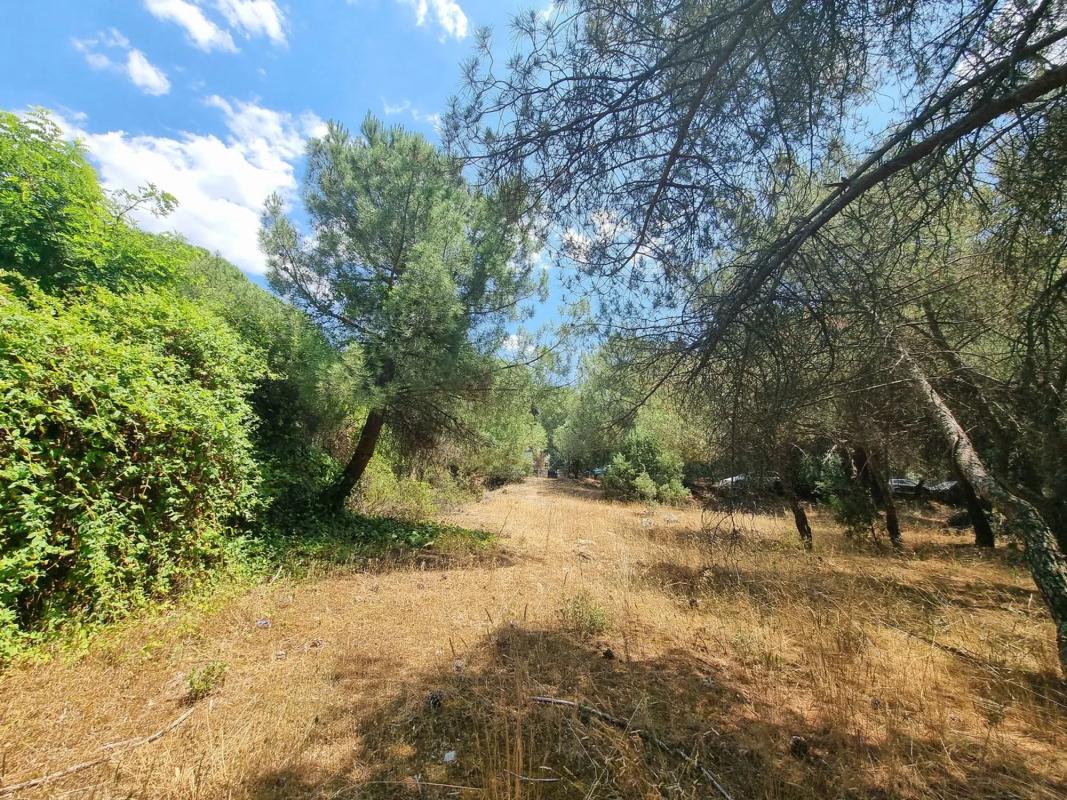 Terreno en venta en Galapagar, Madrid photo 4