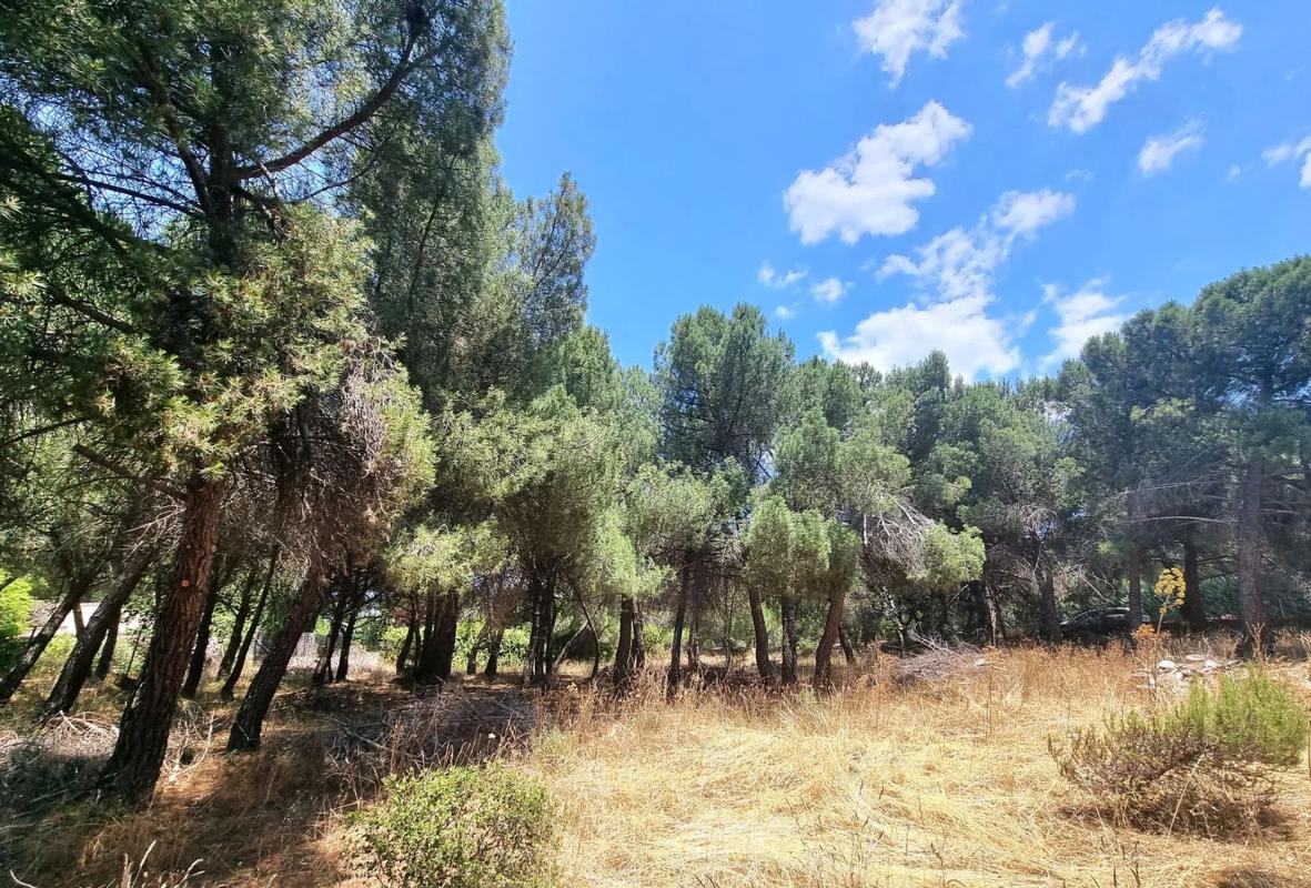 Terreno en venta en Galapagar, Madrid photo 5