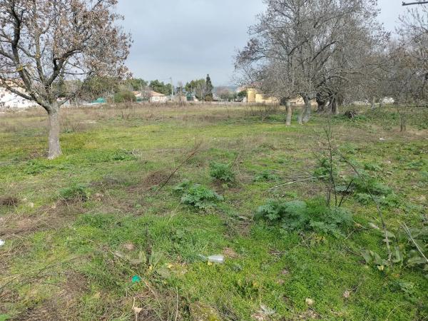 Terreno en avenida de los Voluntarios, 117 photo 4