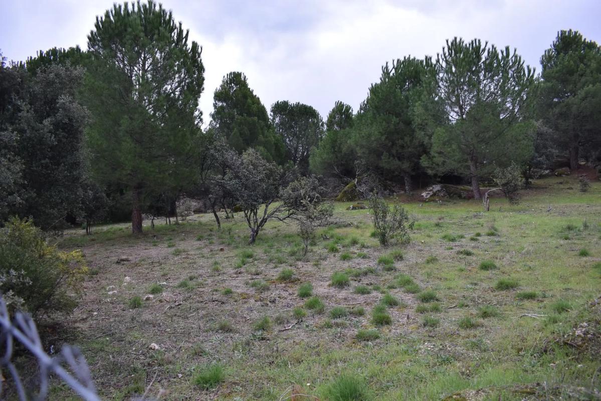Terreno en venta en Galapagar, Madrid photo 1