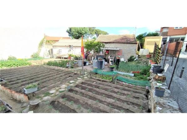 Terreno en Deportivo Galapagar - Los Almendros photo 4