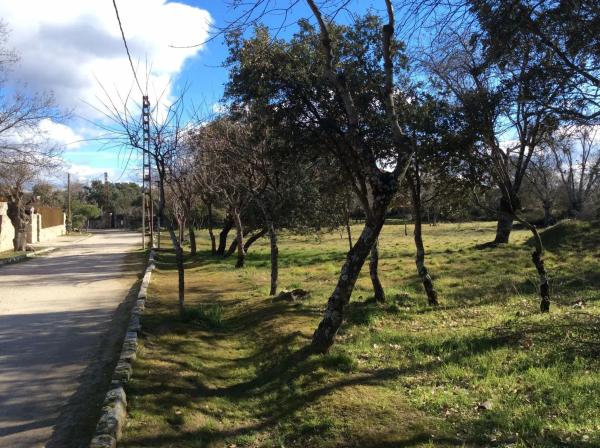 Terreno en calle Copos, 7 y 9 thumbnail 1