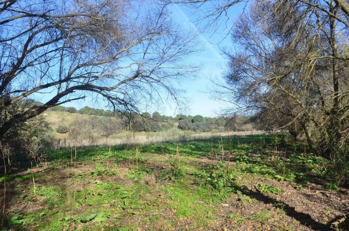 Terreno en venta en Galapagar, Madrid photo 1