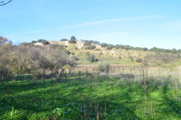 Terreno en Puerto de Galapagar-Las Cuestas photo 3