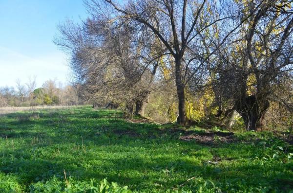 Terreno en Puerto de Galapagar-Las Cuestas photo 4