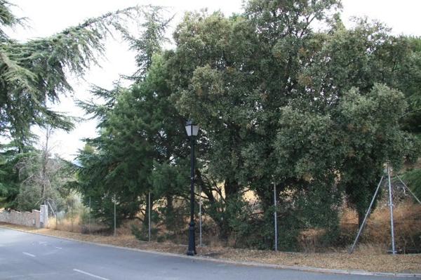Terreno en calle Puerto de Canencia, 1 photo 2