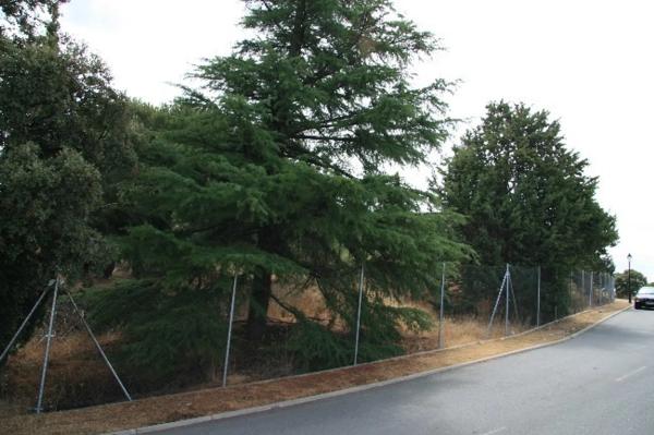 Terreno en calle Puerto de Canencia, 1 photo 3