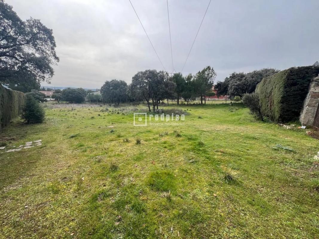 Land for sale in Guadarrama, Madrid photo 2