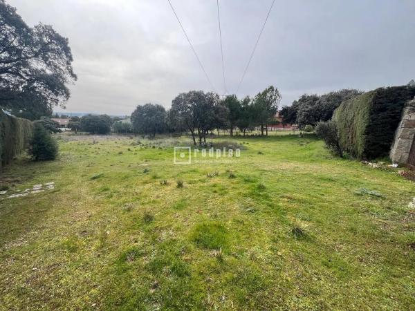Terreno en Guadarrama photo 2