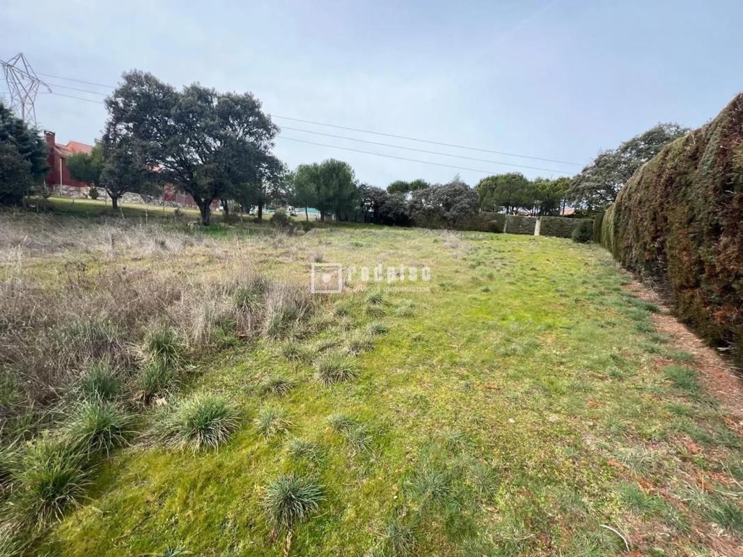 Land for sale in Guadarrama, Madrid photo 4
