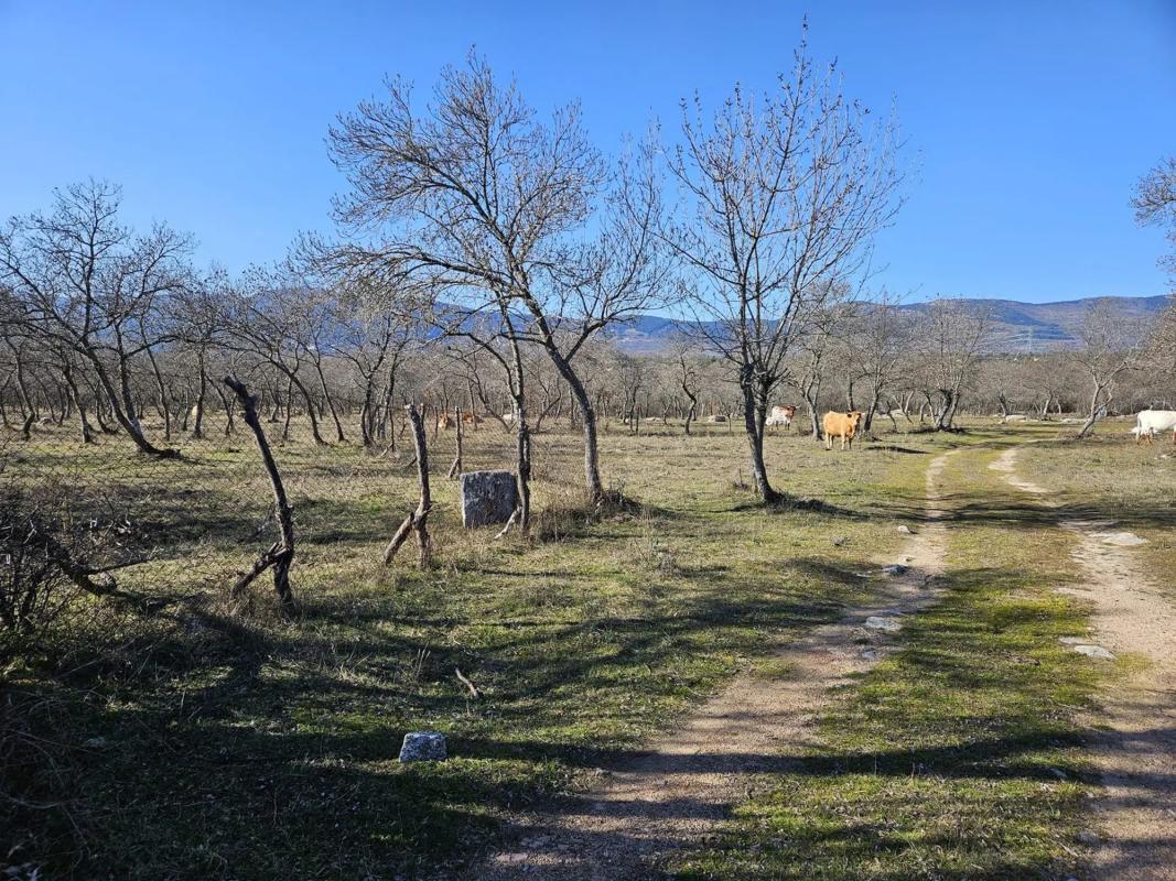 Działka na sprzedaż w Guadarrama, Madryt photo 2
